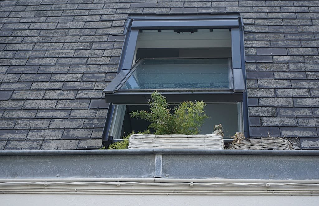A close-up view of a skylight window with plants on a tiled roof, showcasing modern architecture and greenery.